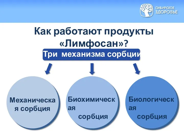 Как работают продукты «Лимфосан»? Три механизма сорбции Механическая сорбция Биологическая сорбция Биохимическая сорбция