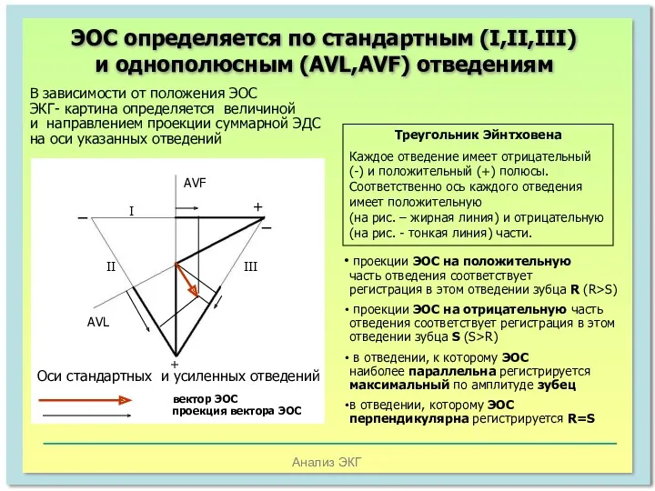 Анализ ЭКГ ЭОС определяется по стандартным (I,II,III) и однополюсным (AVL,AVF)