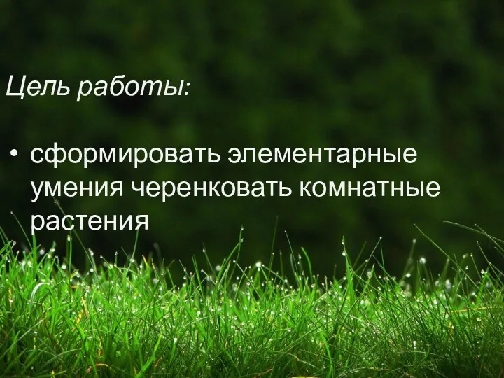 Цель работы: сформировать элементарные умения черенковать комнатные растения