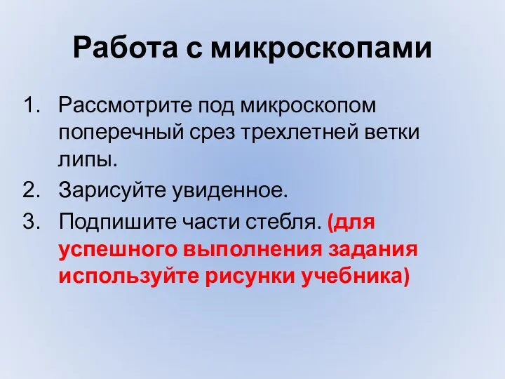 Работа с микроскопами Рассмотрите под микроскопом поперечный срез трехлетней ветки