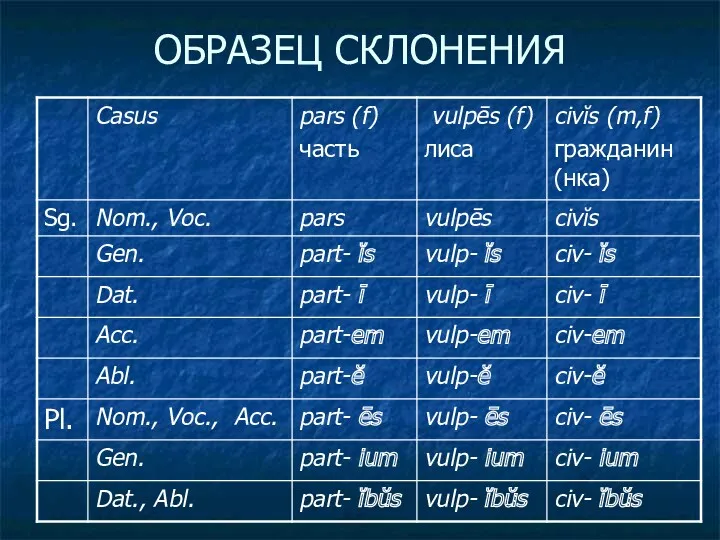 ОБРАЗЕЦ СКЛОНЕНИЯ