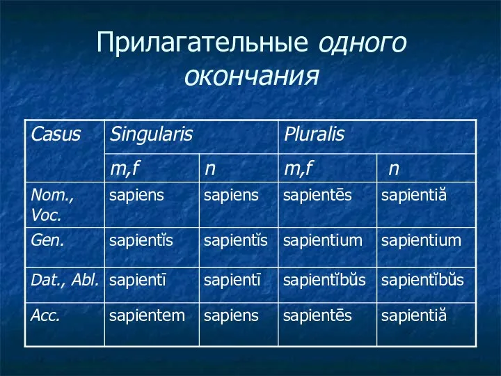 Прилагательные одного окончания