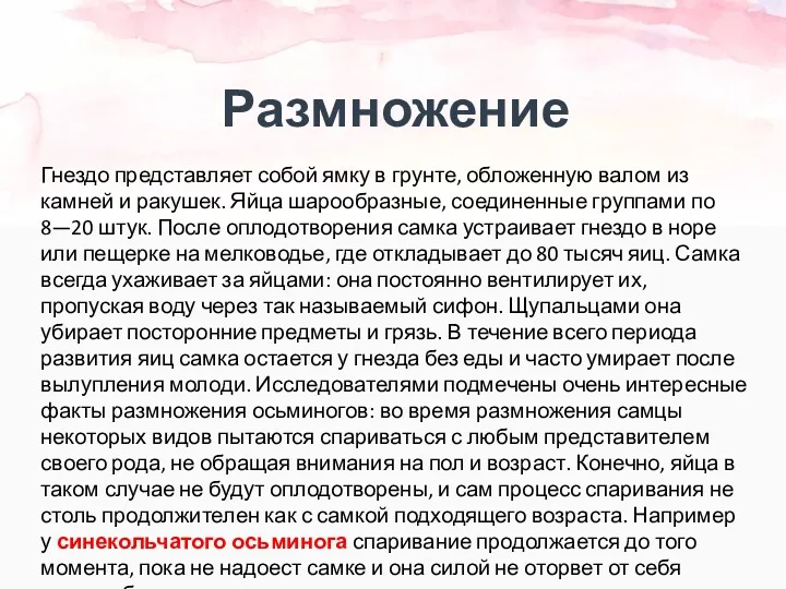 Размножение Гнездо представляет собой ямку в грунте, обложенную валом из