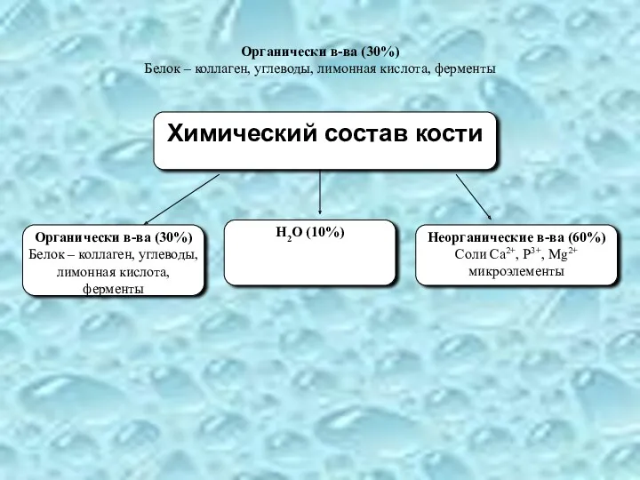 Органически в-ва (30%) Белок – коллаген, углеводы, лимонная кислота, ферменты