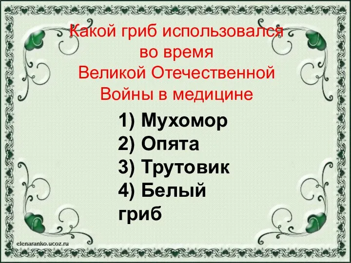 1) Мухомор 2) Опята 3) Трутовик 4) Белый гриб Какой