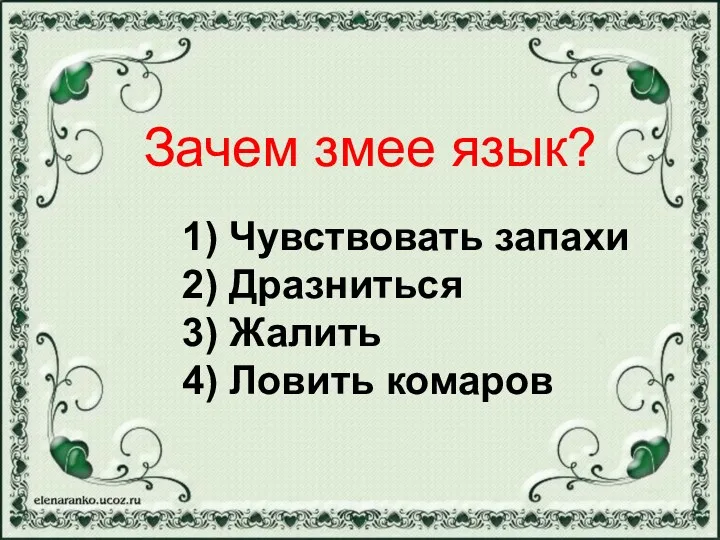 1) Чувствовать запахи 2) Дразниться 3) Жалить 4) Ловить комаров Зачем змее язык?