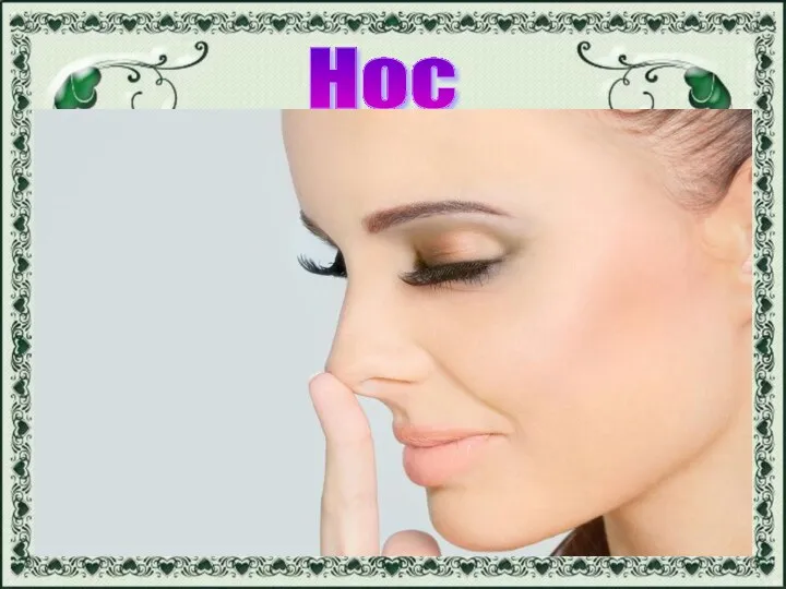 Нос