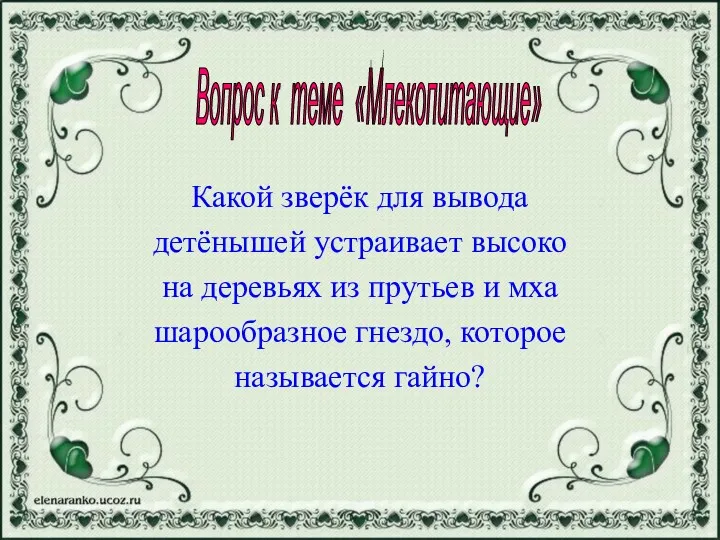 Какой зверёк для вывода детёнышей устраивает высоко на деревьях из