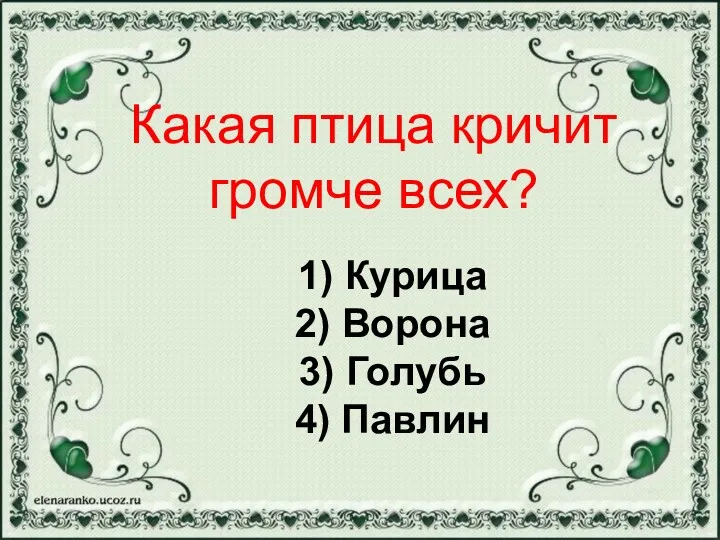 1) Курица 2) Ворона 3) Голубь 4) Павлин Какая птица кричит громче всех?