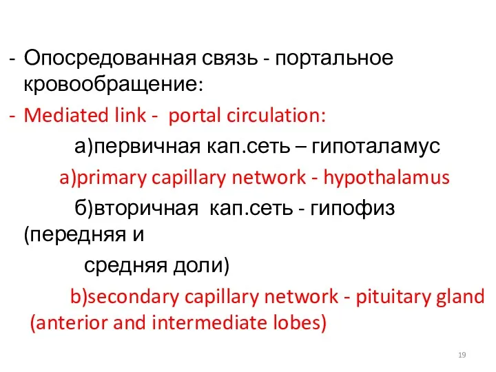 Опосредованная связь - портальное кровообращение: Mediated link - portal circulation: