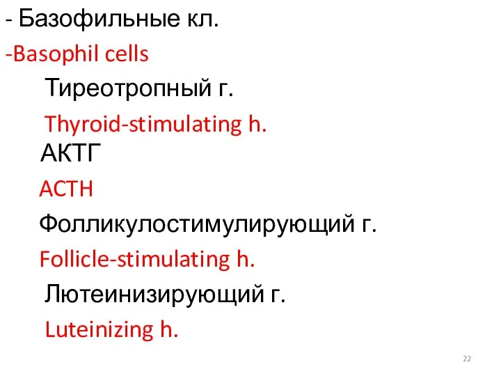 - Базофильные кл. -Basophil cells Тиреотропный г. Thyroid-stimulating h. АКТГ