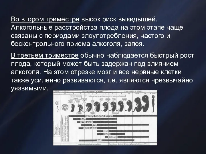 Во втором триместре высок риск выкидышей. Алкогольные расстройства плода на