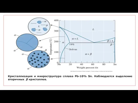 Кристаллизация и микроструктура сплава Pb-10% Sn. Наблюдается выделение вторичных β кристаллов.