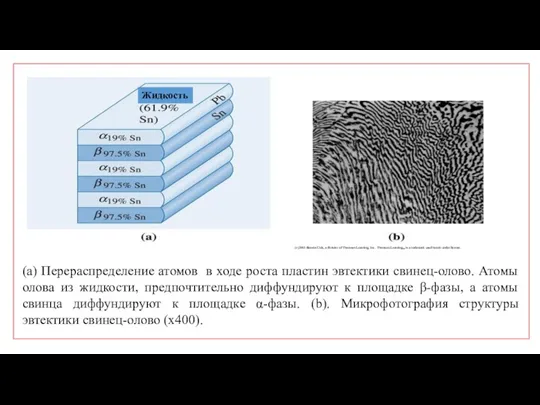 Жидкость (a) Перераспределение атомов в ходе роста пластин эвтектики свинец-олово.
