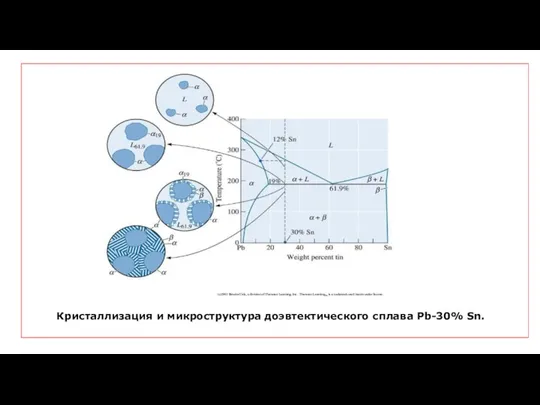 Кристаллизация и микроструктура доэвтектического сплава Pb-30% Sn.