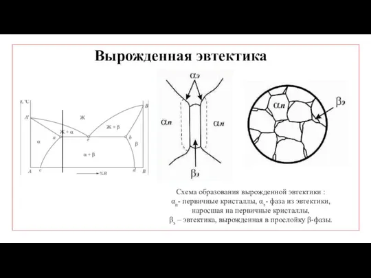 Схема образования вырожденной эвтектики : αп- первичные кристаллы, αэ- фаза