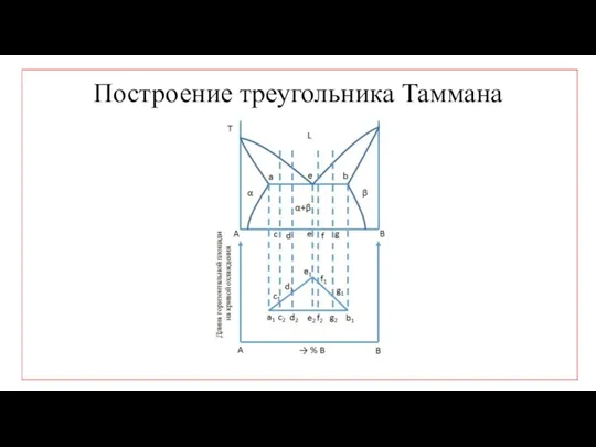 Построение треугольника Таммана