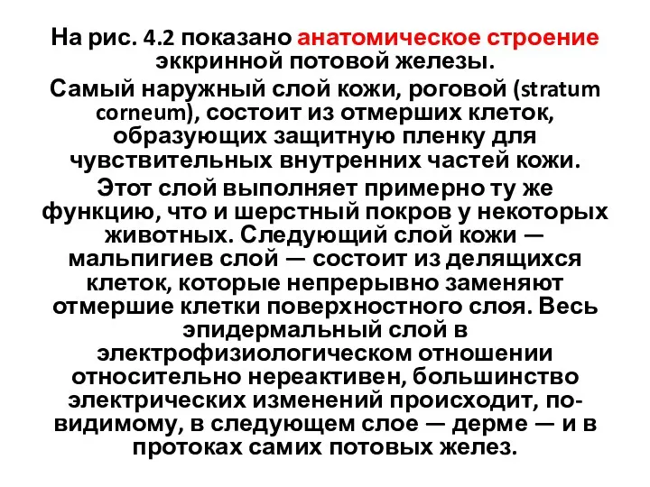 На рис. 4.2 показано анатомическое строение эккринной потовой железы. Самый