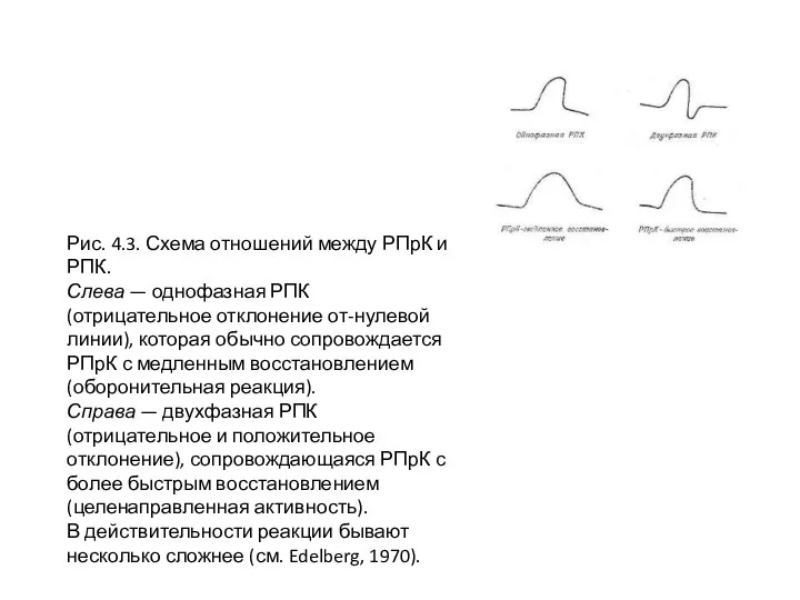 Рис. 4.3. Схема отношений между РПрК и РПК. Слева —