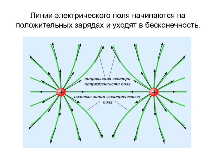 Линии электрического поля начинаются на положительных зарядах и уходят в бесконечность.