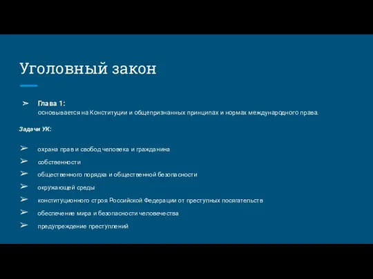 Уголовный закон Глава 1: основывается на Конституции и общепризнанных принципах и нормах международного