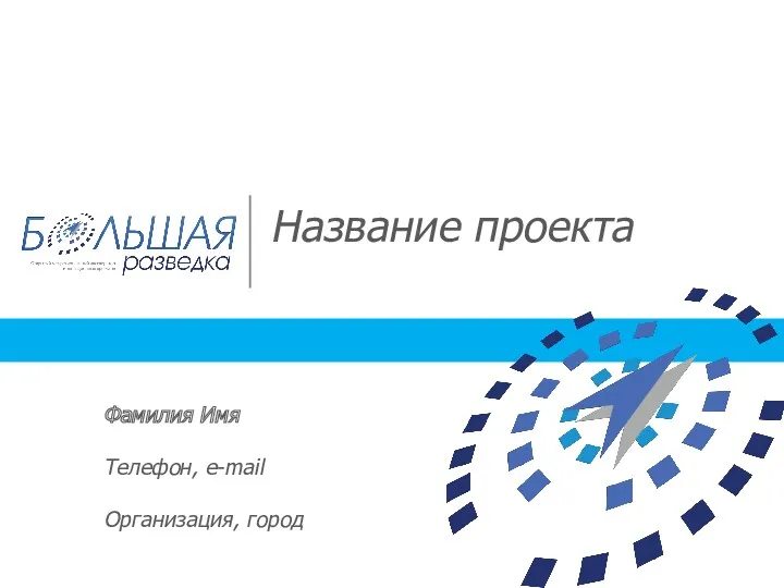 Название проекта Фамилия Имя Телефон, e-mail Организация, город