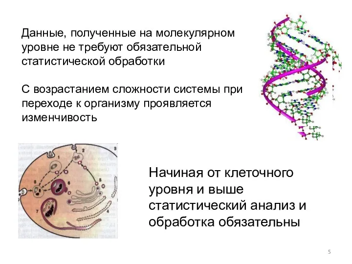 Данные, полученные на молекулярном уровне не требуют обязательной статистической обработки