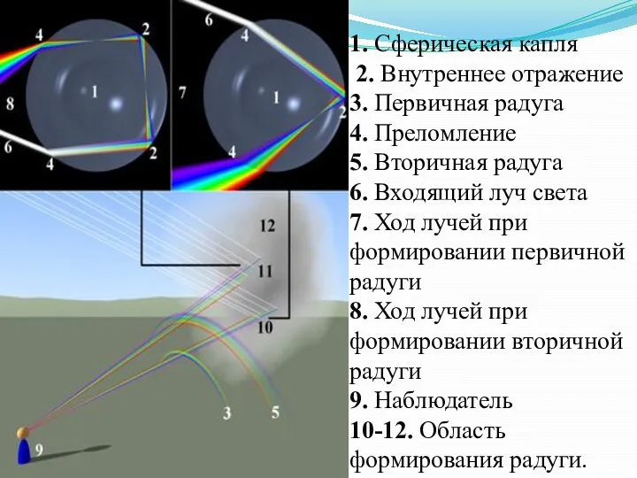 1. Сферическая капля 2. Внутреннее отражение 3. Первичная радуга 4.