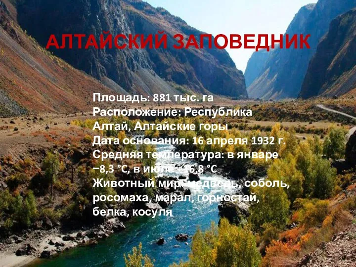 АЛТАЙСКИЙ ЗАПОВЕДНИК Площадь: 881 тыс. га Расположение: Республика Алтай, Алтайские