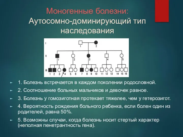 Моногенные болезни: Аутосомно-доминирующий тип наследования 1. Болезнь встречается в каждом