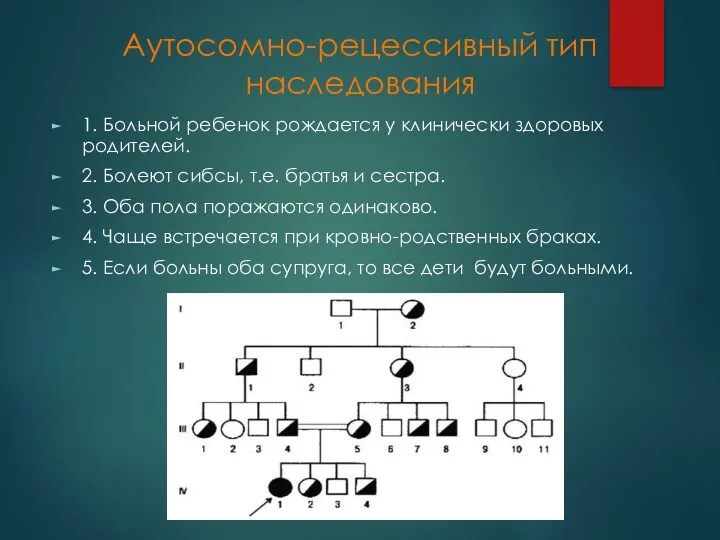 Аутосомно-рецессивный тип наследования 1. Больной ребенок рождается у клинически здоровых