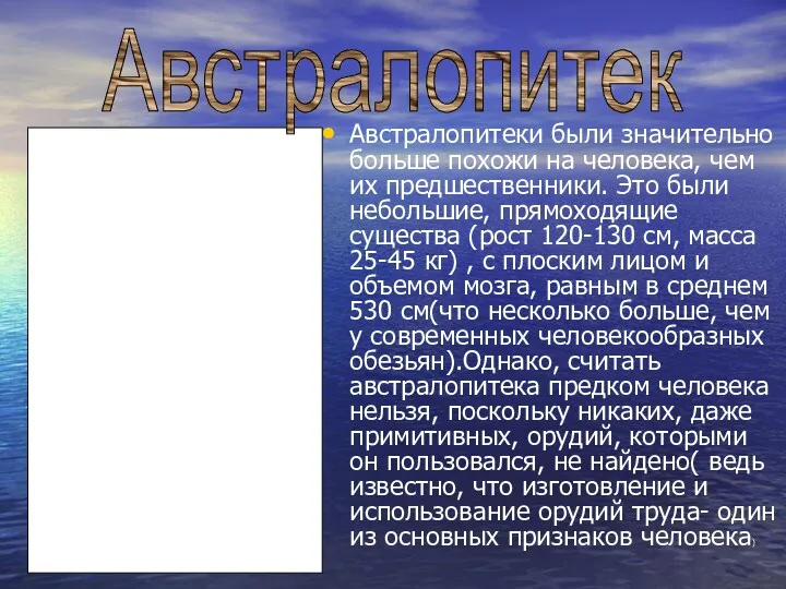 Австралопитеки были значительно больше похожи на человека, чем их предшественники. Это были небольшие,