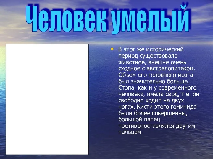 В этот же исторический период существовало животное, внешне очень сходное с австралопитеком. Объем