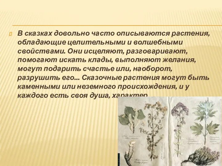 В сказках довольно часто описываются растения, обладающие целительными и волшебными свойствами. Они исцеляют,