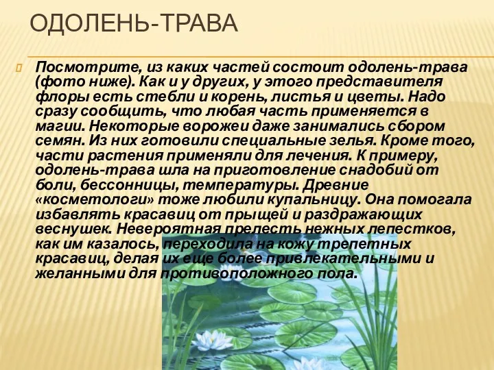 ОДОЛЕНЬ-ТРАВА Посмотрите, из каких частей состоит одолень-трава (фото ниже). Как