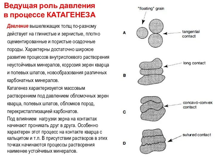 Ведущая роль давления в процессе КАТАГЕНЕЗА Давление вышележащих толщ по-разному