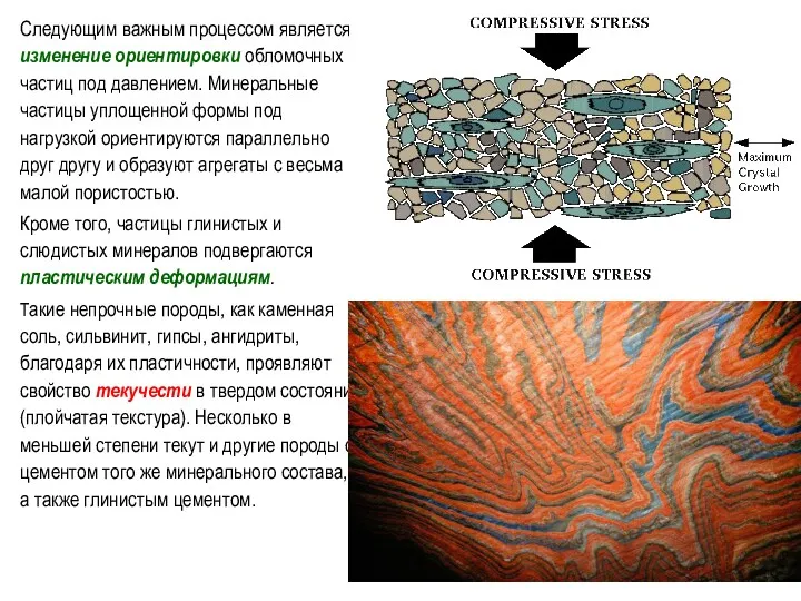 Следующим важным процессом является изменение ориентировки обломочных частиц под давлением.