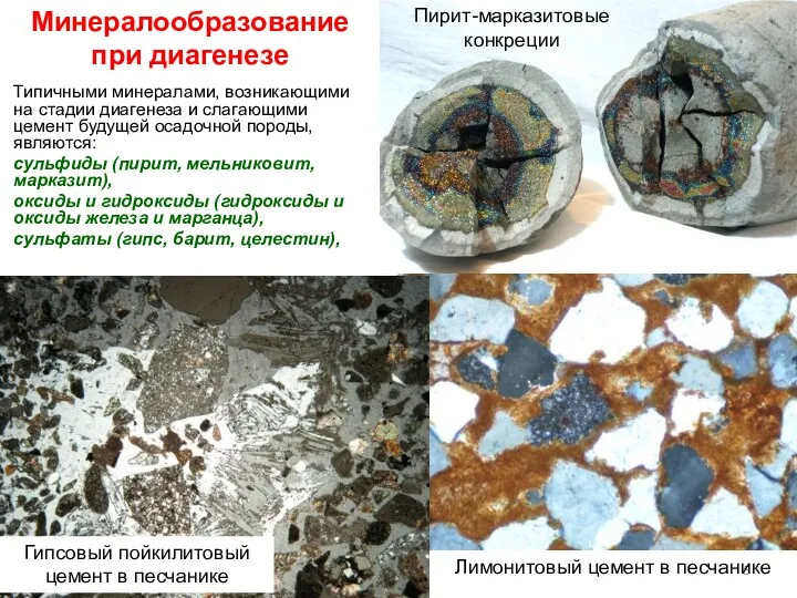 Минералообразование при диагенезе Типичными минералами, возникающими на стадии диагенеза и
