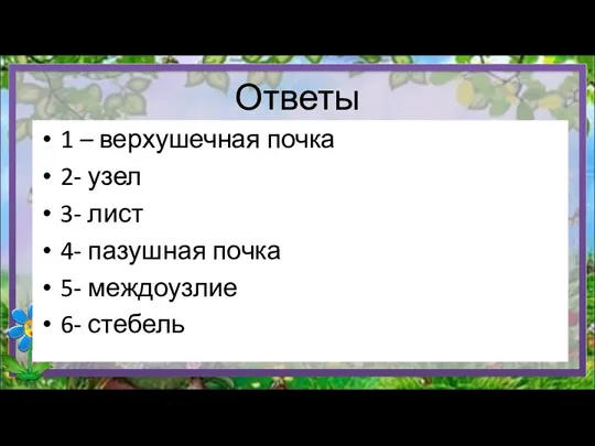 Ответы 1 – верхушечная почка 2- узел 3- лист 4- пазушная почка 5- междоузлие 6- стебель