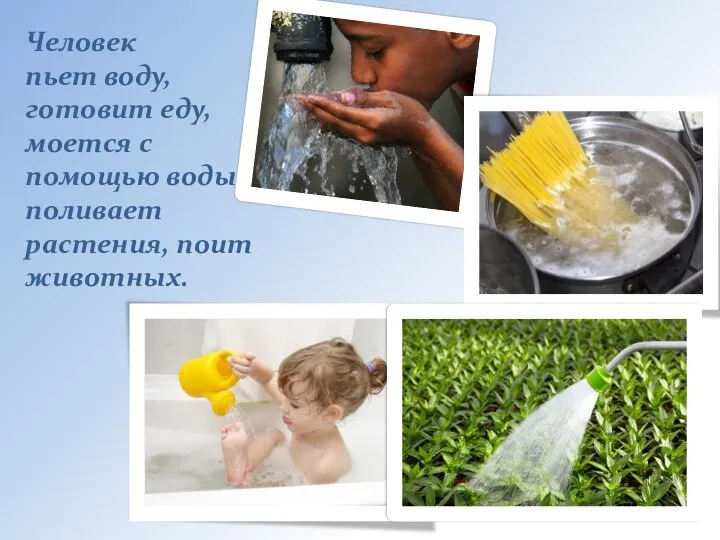 Человек пьет воду, готовит еду, моется с помощью воды, поливает растения, поит животных.