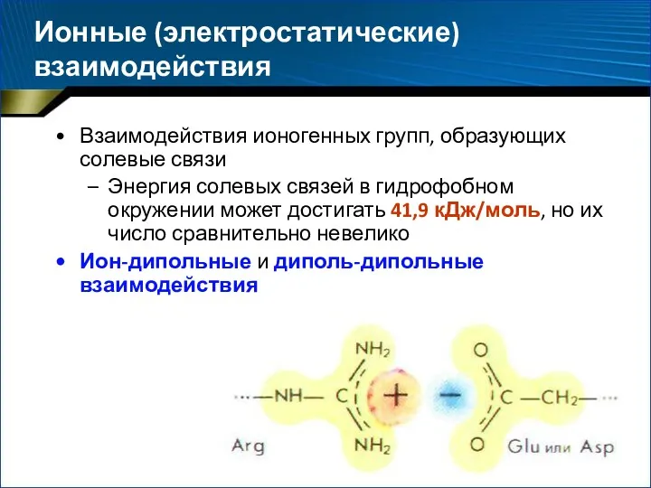 Ионные (электростатические) взаимодействия Взаимодействия ионогенных групп, образующих солевые связи Энергия солевых связей в