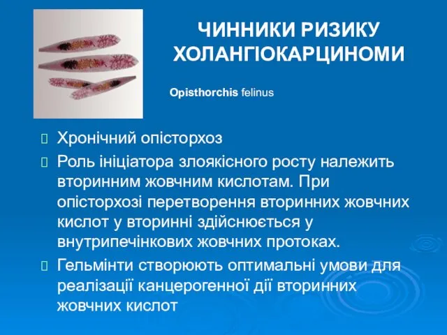 ЧИННИКИ РИЗИКУ ХОЛАНГІОКАРЦИНОМИ Хронічний опісторхоз Роль ініціатора злоякісного росту належить