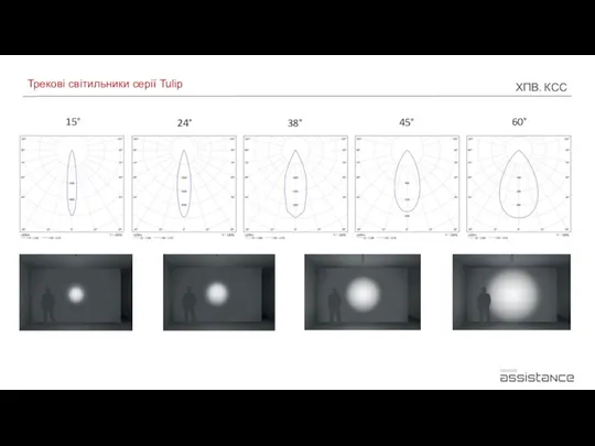 Трекові світильники серії Tulip 24° 38° 45° 60° 15° ХПВ. КСС