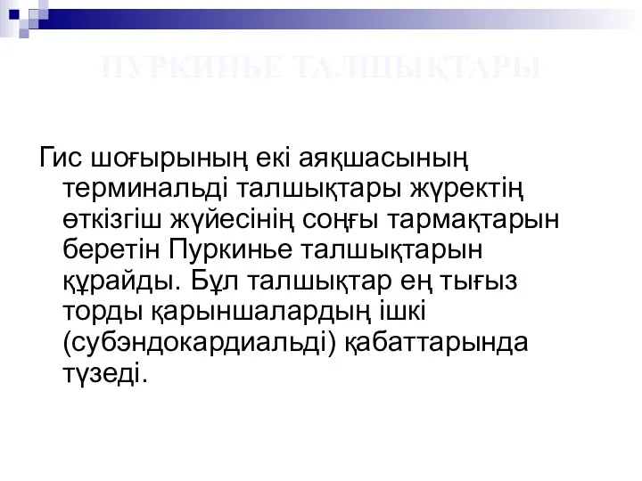 Гис шоғырының екі аяқшасының терминальді талшықтары жүректің өткізгіш жүйесінің соңғы