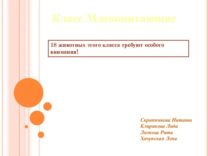 Класс Млекопитающие 18 животных этого класса требуют особого внимания! Скрипникова