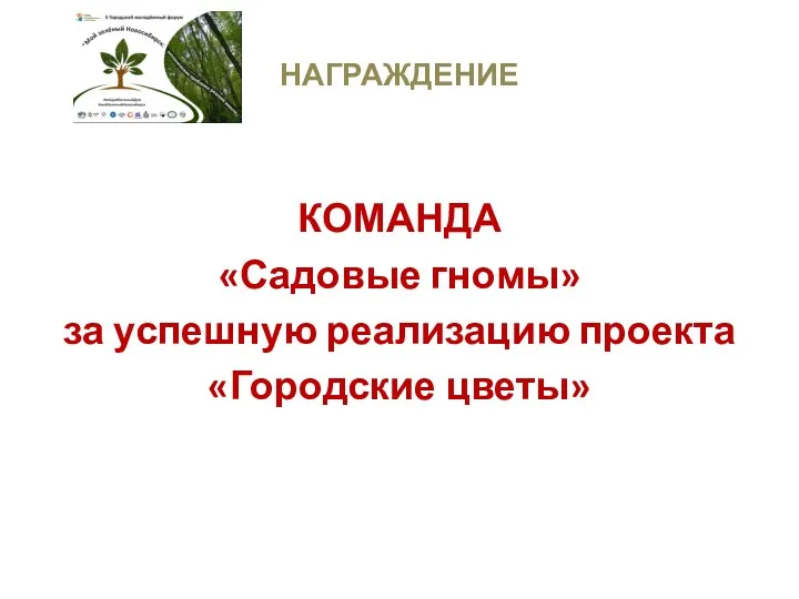 НАГРАЖДЕНИЕ КОМАНДА «Садовые гномы» за успешную реализацию проекта «Городские цветы»