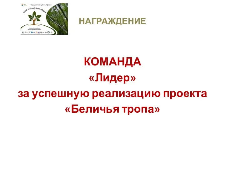 НАГРАЖДЕНИЕ КОМАНДА «Лидер» за успешную реализацию проекта «Беличья тропа»