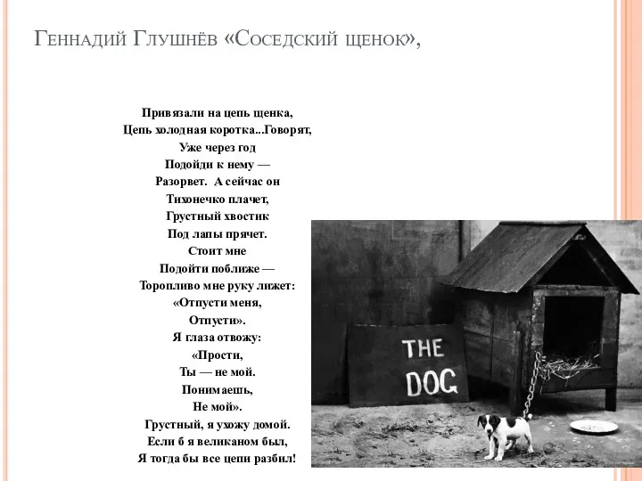 Геннадий Глушнёв «Соседский щенок», Привязали на цепь щенка, Цепь холодная