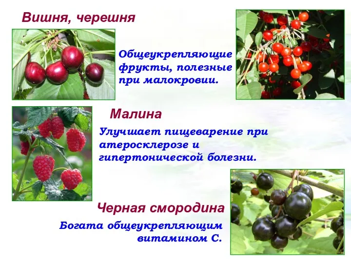 Вишня, черешня Общеукрепляющие фрукты, полезные при малокровии. Малина Улучшает пищеварение при атеросклерозе и