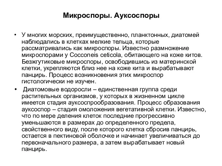 Микроспоры. Ауксоспоры У многих морских, преимущественно, планктонных, диатомей наблюдались в